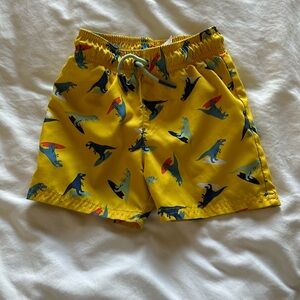 Toddler boys dinosaur swim trunks